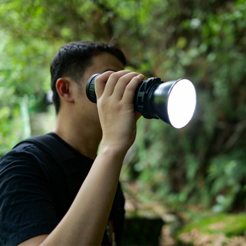 Осветитель INKEE Gold Crow 30