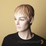 Fotokvant BGP-2711-65 Cream фон бумажный 2.72х11 м кремовый