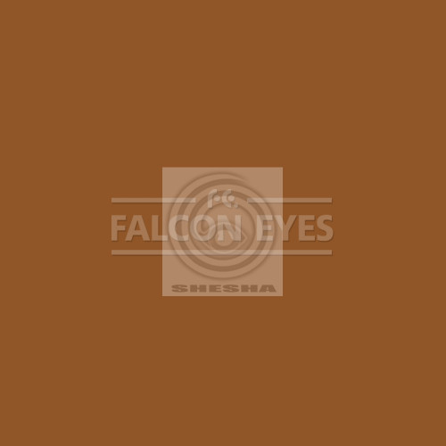 Фон 17-12 Widetone Sienna Коричневый